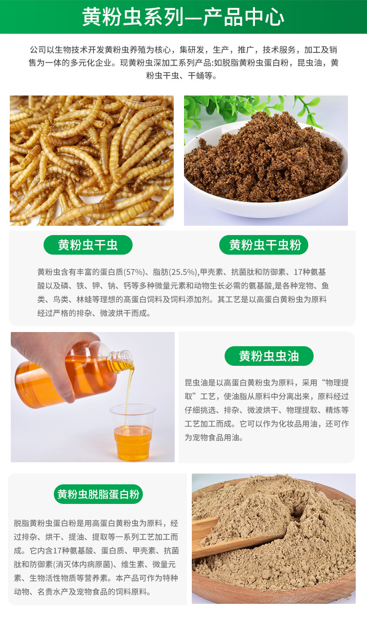 面包蟲(chóng)干 小身材大營(yíng)養(yǎng)，一站式全寵物營(yíng)養(yǎng)解決方案