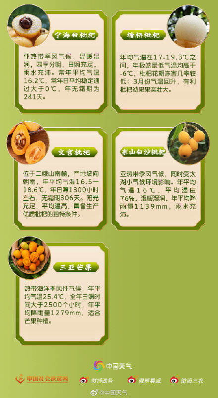 春天賜予的見面禮 全國優質農產品推薦地圖（水果篇）